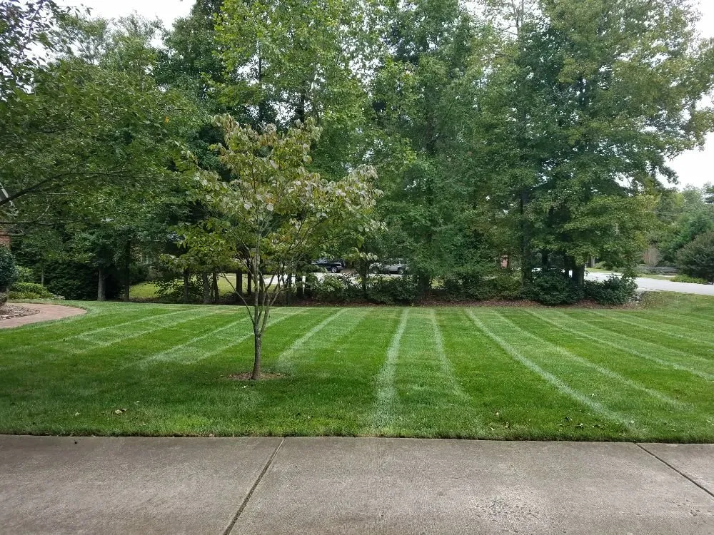 Professional landscaping services in Greensboro, NC - Turf Titans