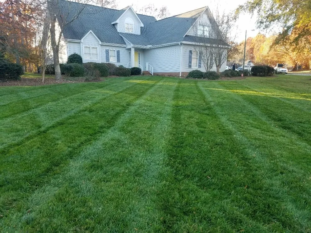 Custom yard maintenance in Greensboro, NC by Turf Titans