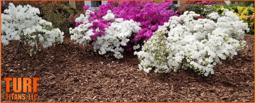 Professional garden landscaping for beautiful yards across Greensboro, NC - Turf Titans