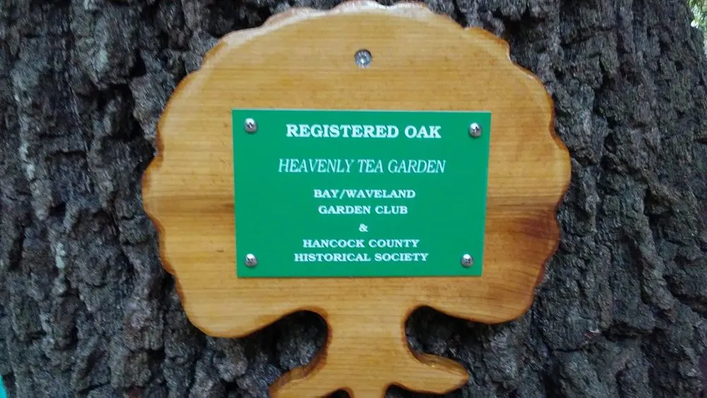 Top-rated residential landscaping in Pascagoula, MS by Turf Titans Lawn