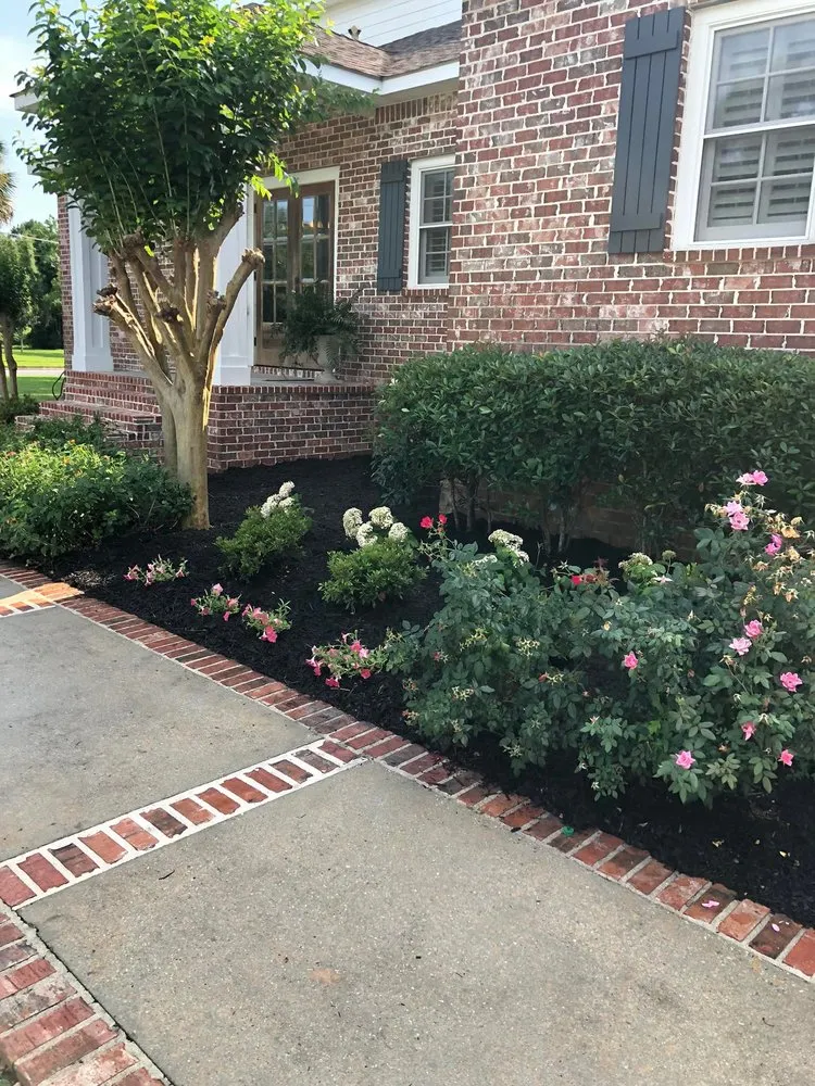 Affordable lawn care service for homes in Pascagoula, MS by Turf Titans Lawn