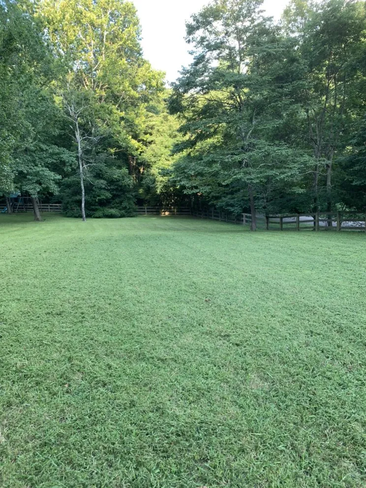 Professional garden landscaping experts serving Clarksville, TN - Turf Titans Lawn Service