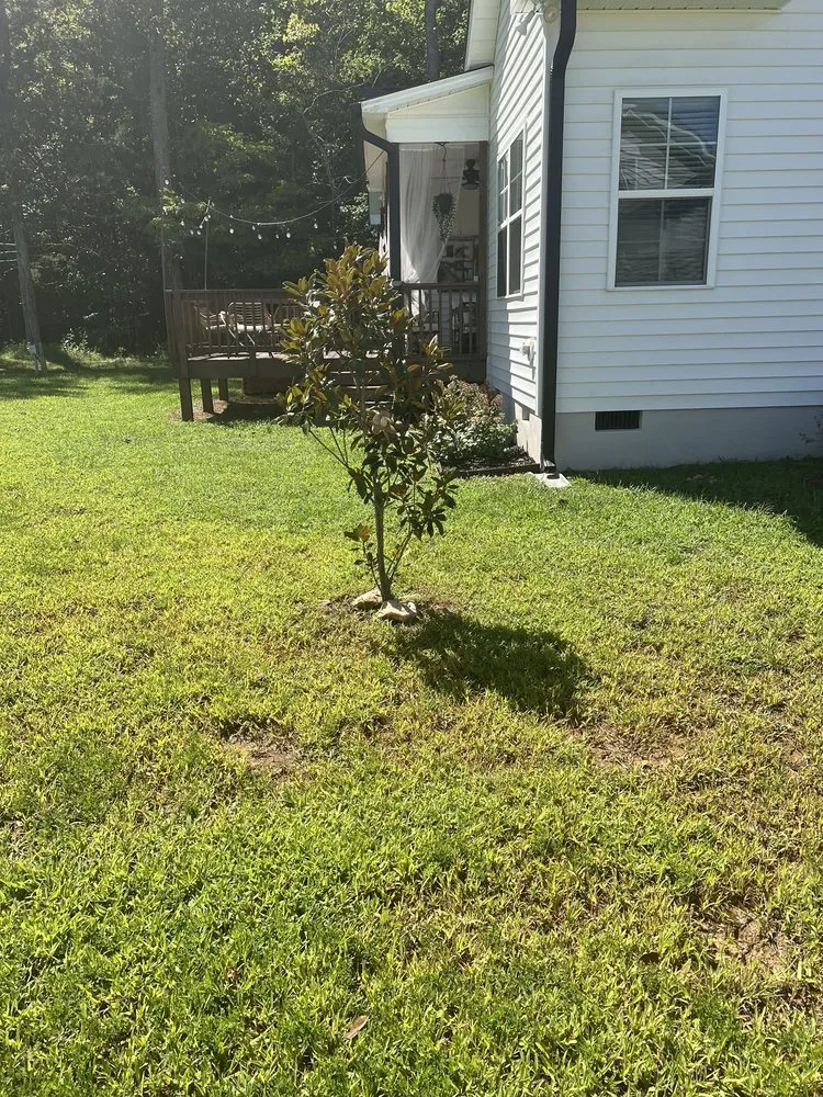 Local landscaping services in Youngsville, NC by Turf Titanz