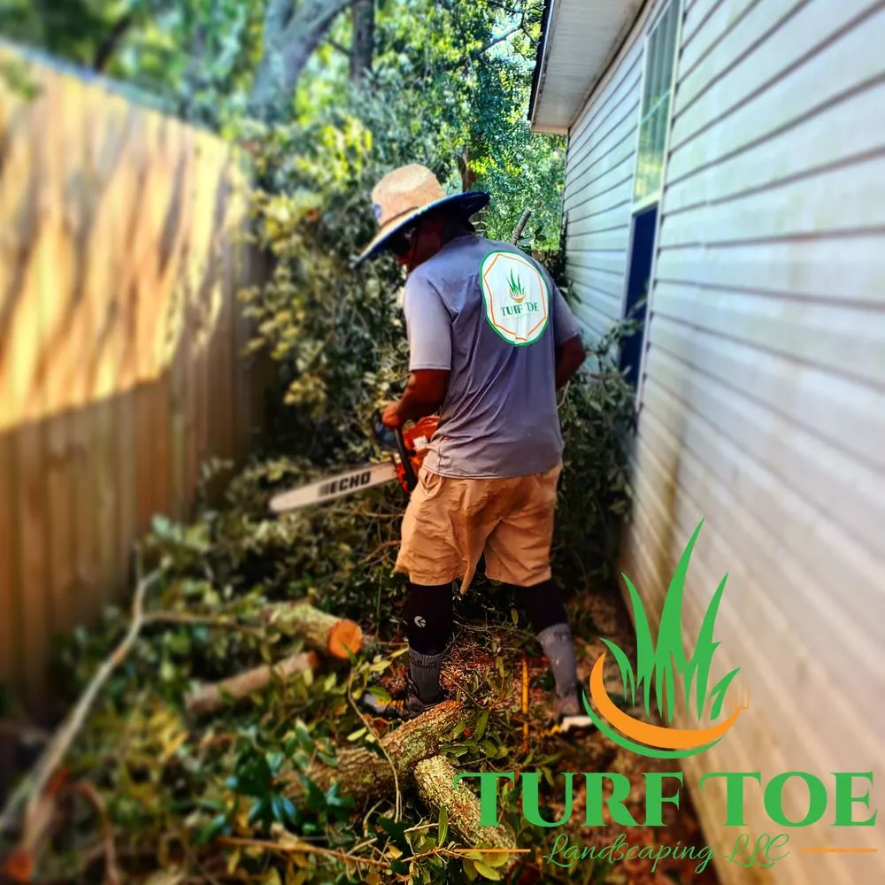 Top-rated landscaping services in Biloxi, MS - Turf Toe Landscaping