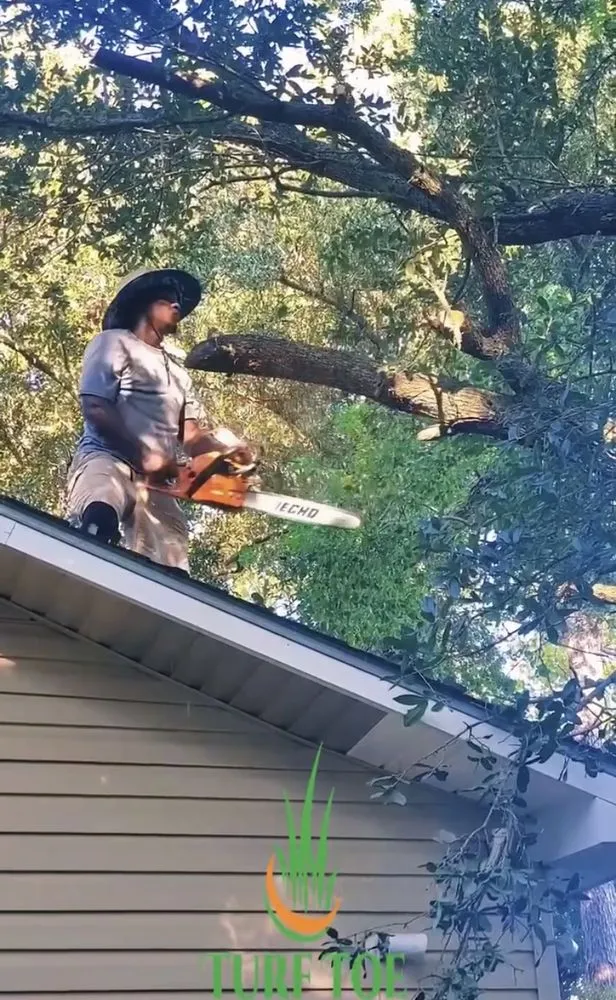 Affordable lawn care service for residential properties across Biloxi, MS - Turf Toe Landscaping