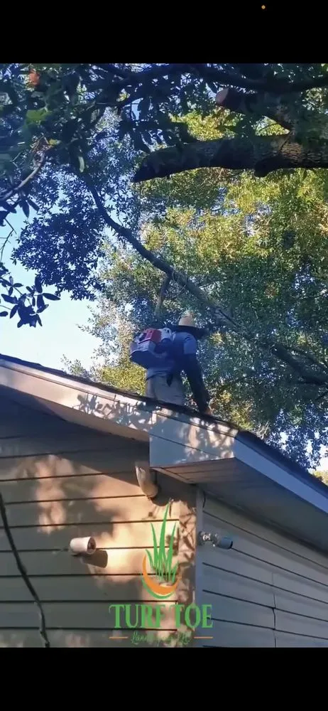 Affordable residential landscaping in Biloxi, MS - Turf Toe Landscaping