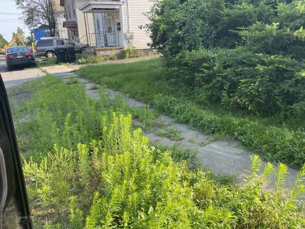 Custom yard cleanup service experts serving Corinth, NY - Turf Tough pros