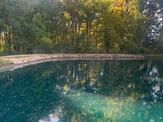 Turf Trimmers Landscaping Logo