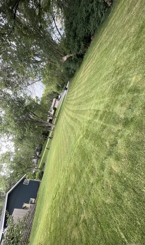 Top-rated yard maintenance in Carol Stream, IL by Turf Twins