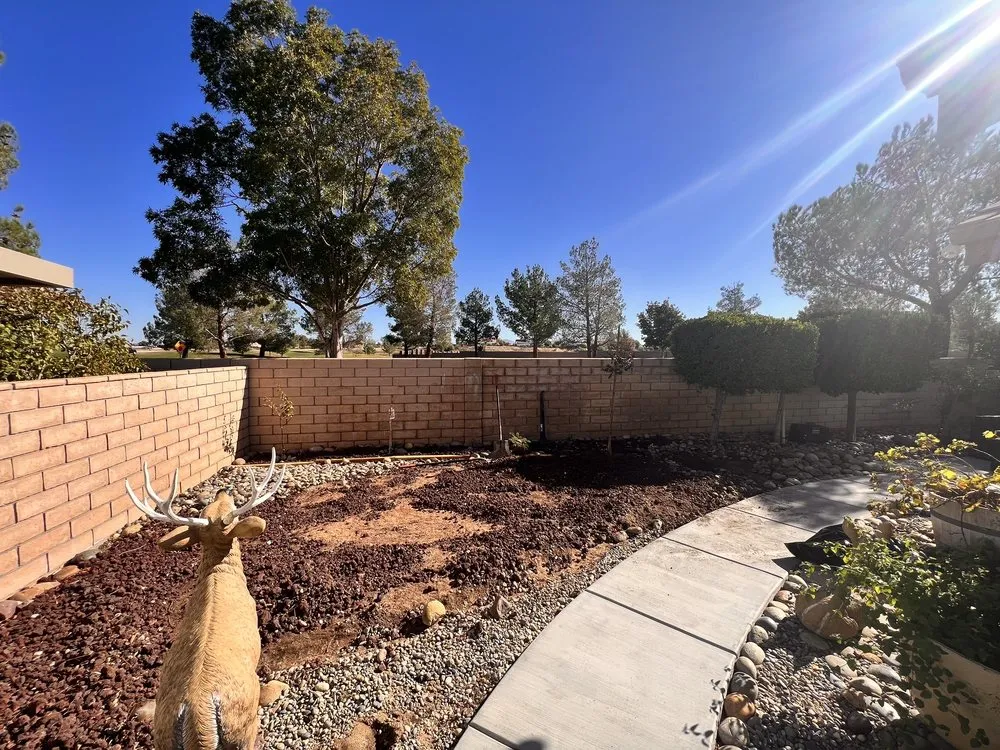 Trusted yard cleanup service experts serving Victorville, CA - Turf Vision