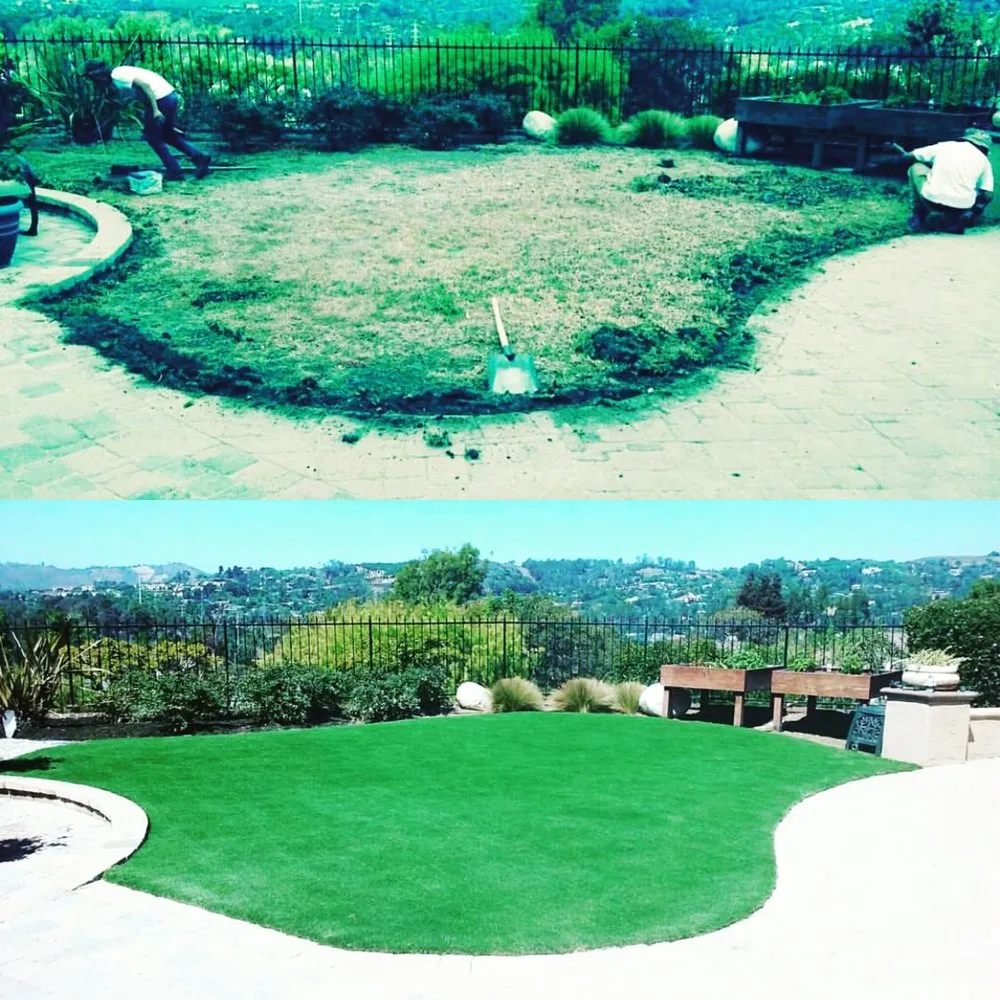 Expert yard maintenance for year-round maintenance in Victorville, CA by Turf Vision