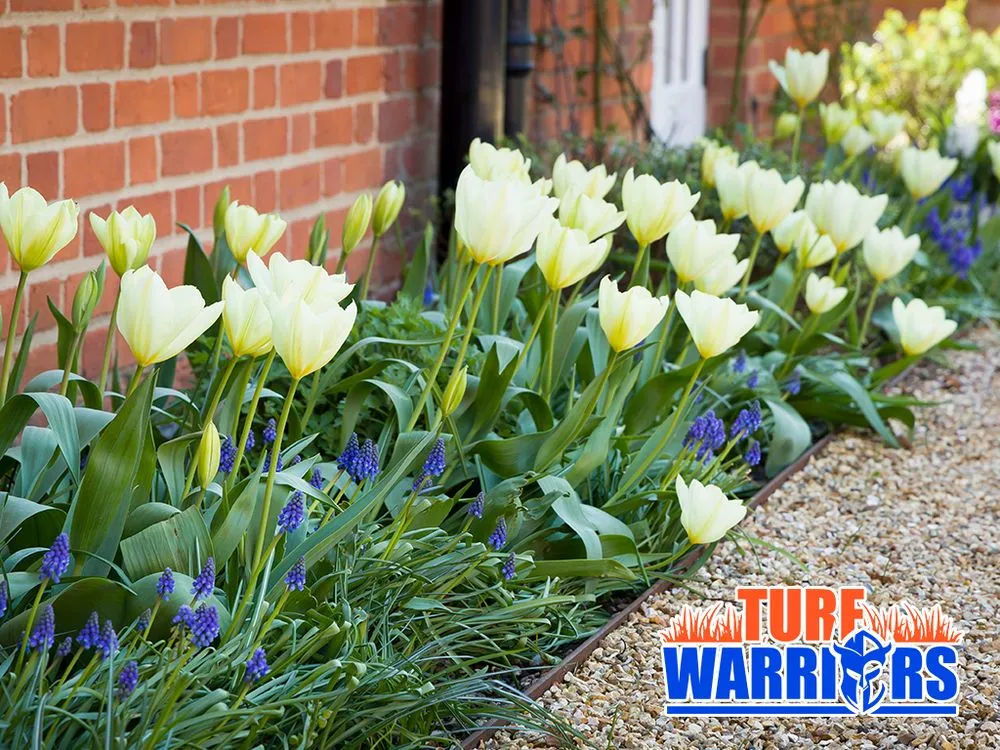 Top-rated residential landscaping experts serving Tampa, FL - Turf Warriors