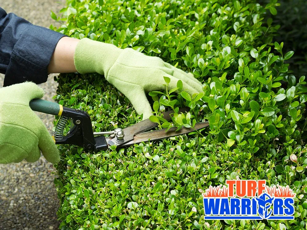 Local yard maintenance in Tampa, FL - Turf Warriors