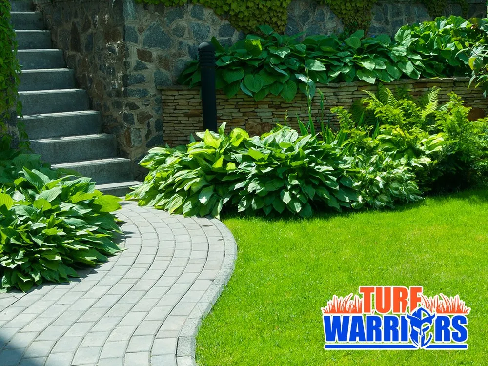 Custom lawn care service for beautiful yards across Tampa, FL - Turf Warriors