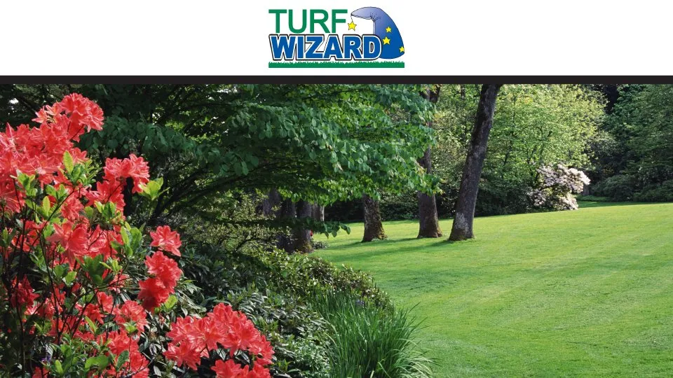 Top-rated yard cleanup service in Senoia, GA - Turf Wizard