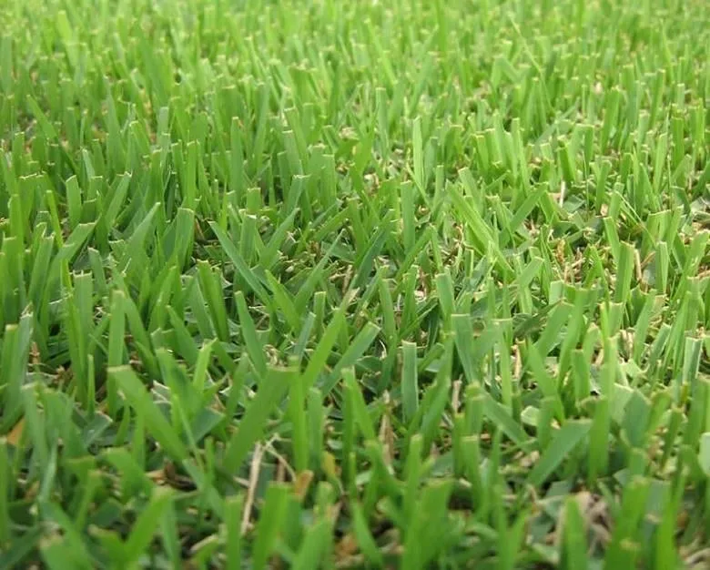 Reliable lawn care service for homes in Apex, NC by Turf Wizards