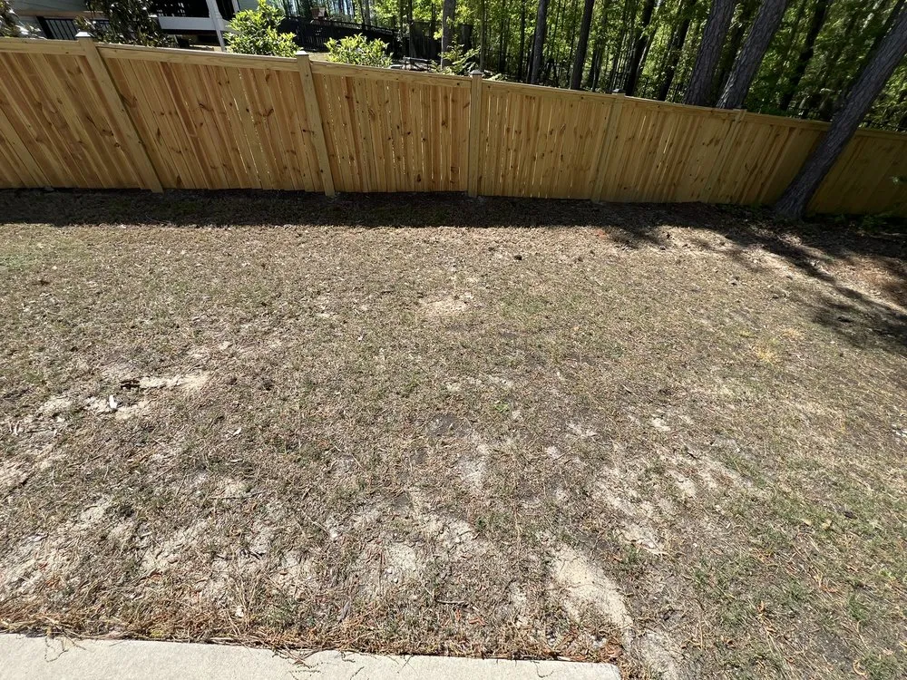 Local landscape design near you in Apex, NC by Turf Wizards