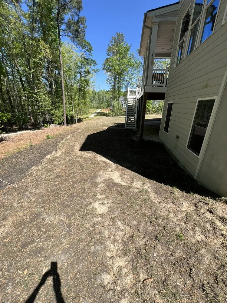 Expert landscape design for homes in Apex, NC by Turf Wizards