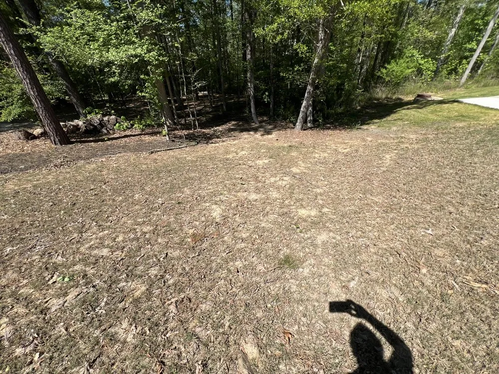 Trusted yard maintenance in Apex, NC - Turf Wizards