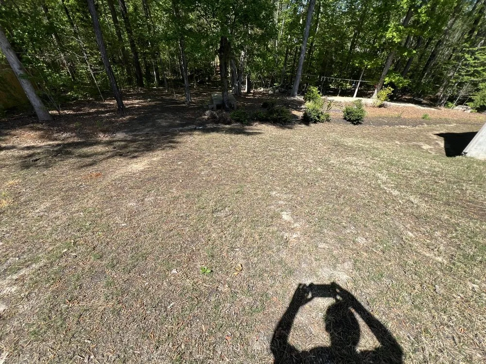 Trusted landscaping services in Apex, NC by Turf Wizards