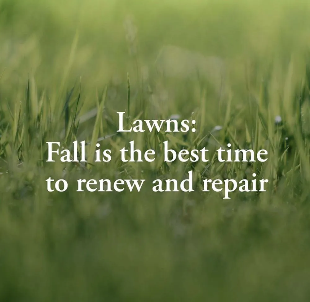 Custom landscape installation in Raleigh, NC - Turf Works