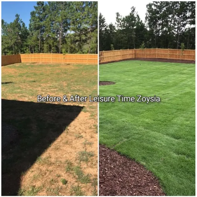 Professional outdoor landscaping for residential properties in Raleigh, NC by Turf Works