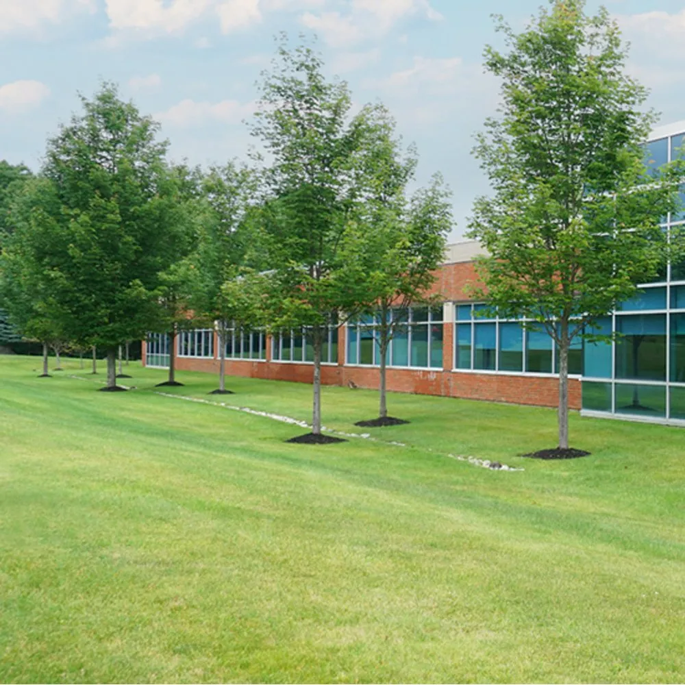 Local yard cleanup service experts serving Midvale, UT - Turf Worx