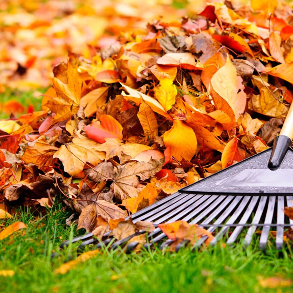 Expert garden landscaping experts serving Midvale, UT - Turf Worx