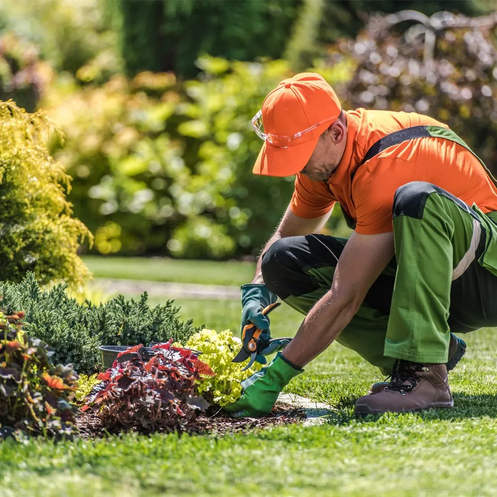 Expert landscape design for residential properties in Midvale, UT by Turf Worx