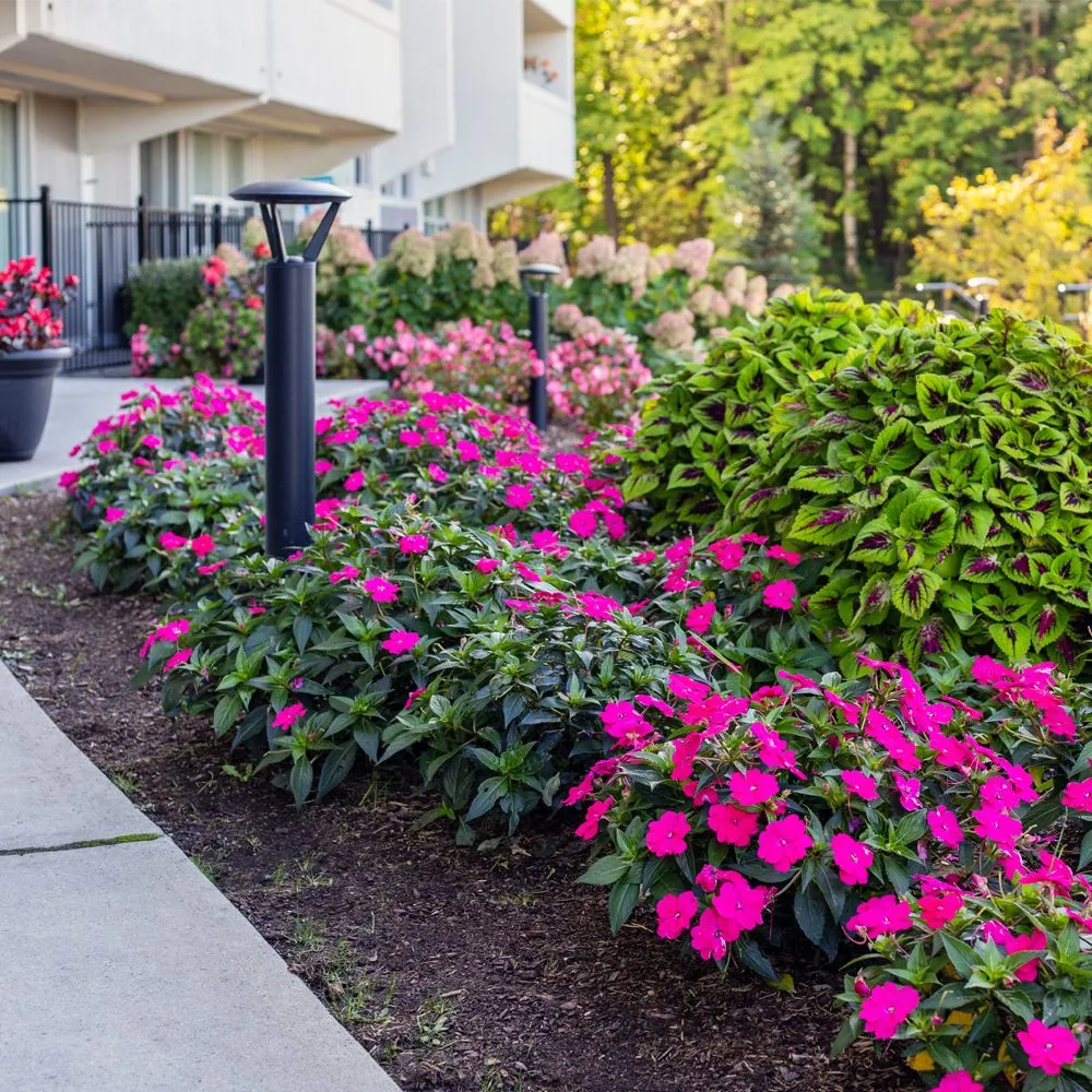 Professional yard cleanup service for beautiful yards in Midvale, UT by Turf Worx