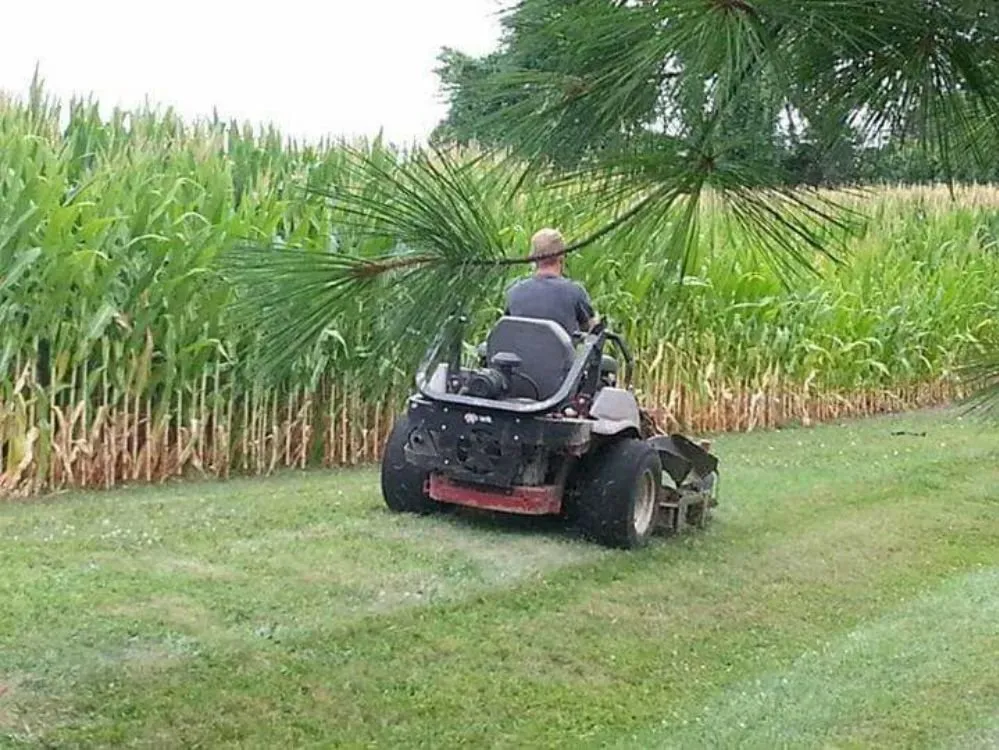 Professional garden landscaping experts serving Winfield, MO - Turf Wurx Quality Lawncare