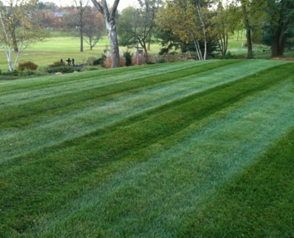 Top-rated lawn care service in Winfield, MO - Turf Wurx Quality Lawncare