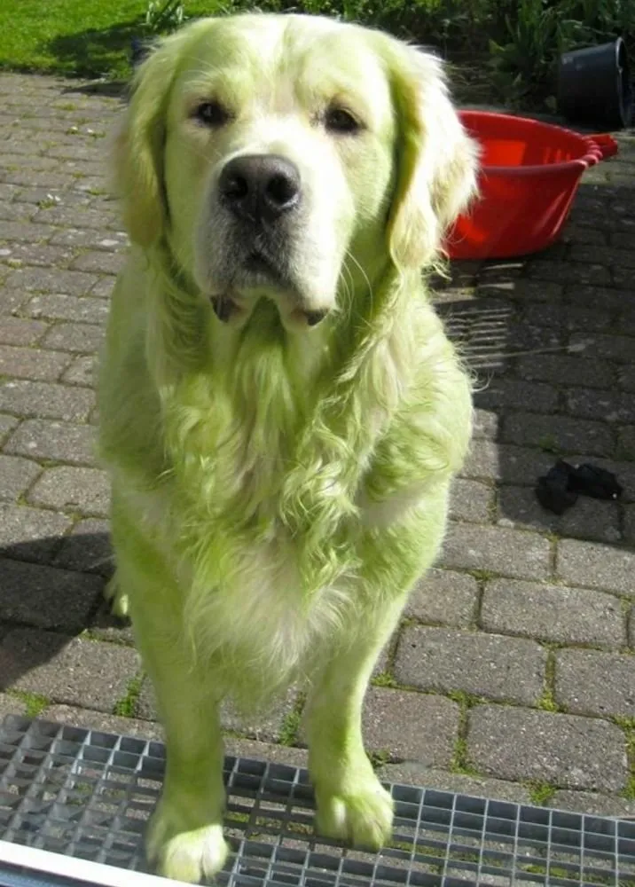 Trusted garden landscaping experts serving Winfield, MO - Turf Wurx Quality Lawncare