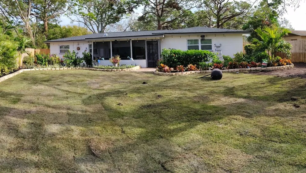 Expert lawn care service in Ruskin, FL - Turf1