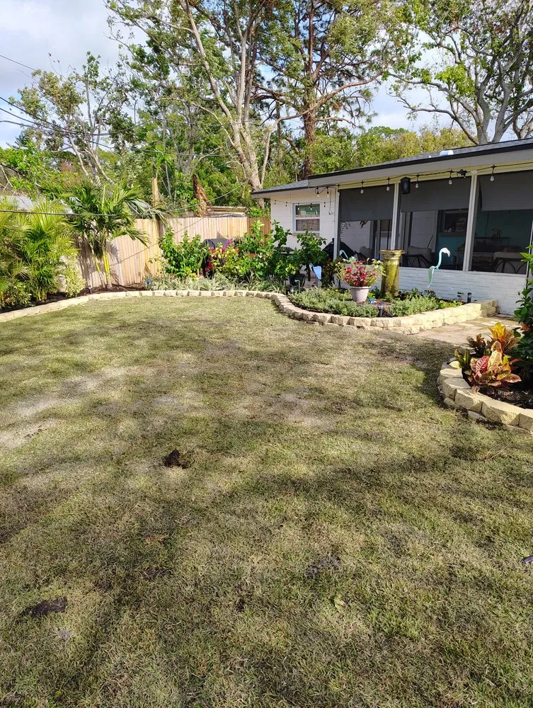 Affordable landscape design in Ruskin, FL - Turf1