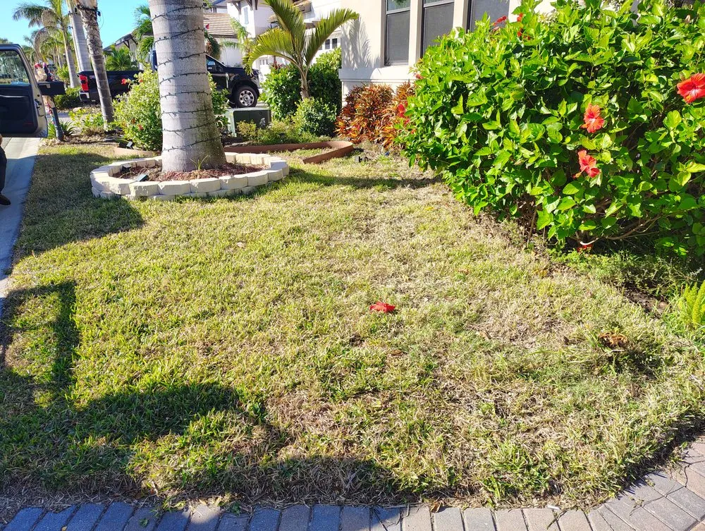 Custom outdoor landscaping in Ruskin, FL - Turf1