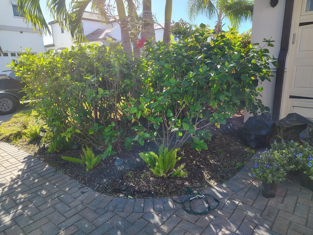 Local lawn care service with custom design across Ruskin, FL - Turf1