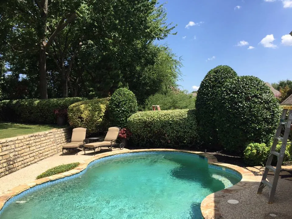 Local landscape design in Anna, TX by TurfBoss