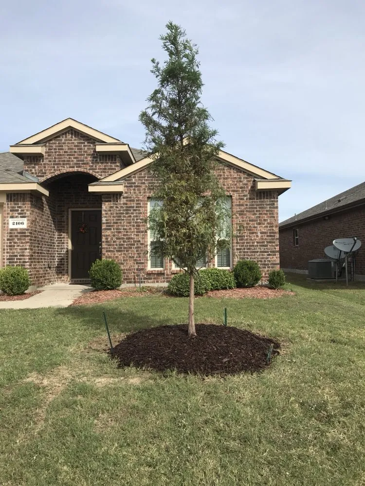 Expert yard maintenance in Anna, TX - TurfBoss
