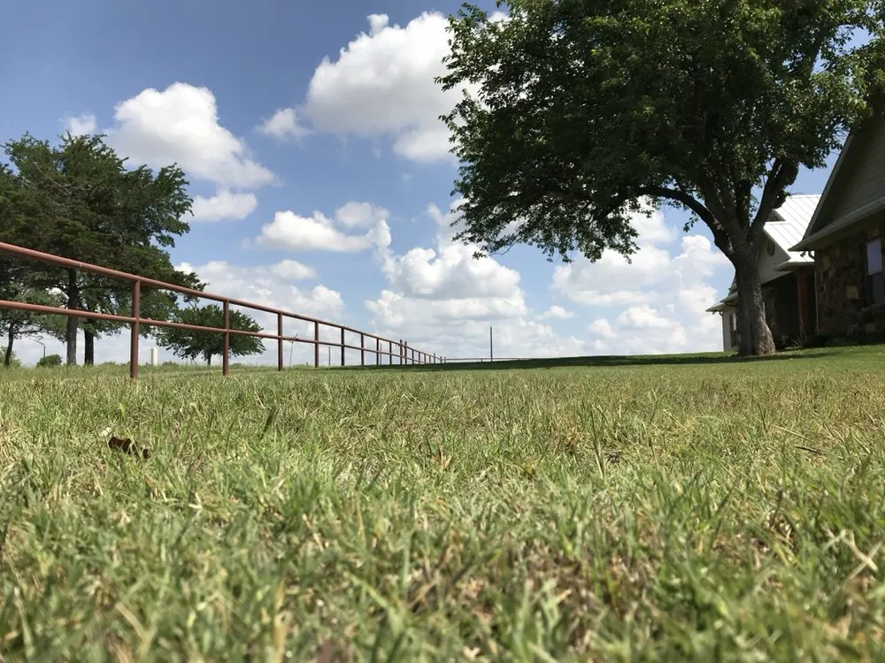 Trusted yard cleanup service in Anna, TX - TurfBoss