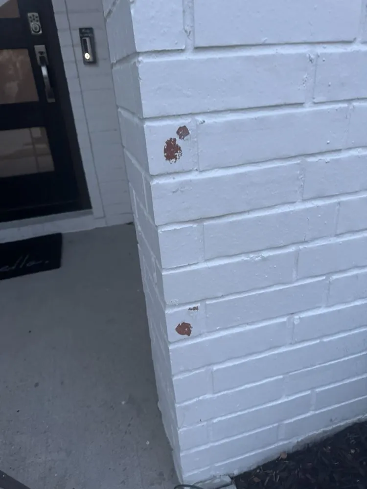 Custom landscape design in Anna, TX - TurfBoss