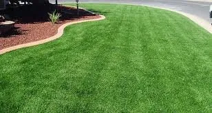 Professional landscape design for beautiful yards across Charlotte, NC - Turfbound Landscape