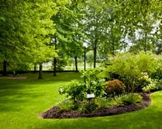 Local yard maintenance with custom design across Omaha, NE - Turfbuilders Lawn Care