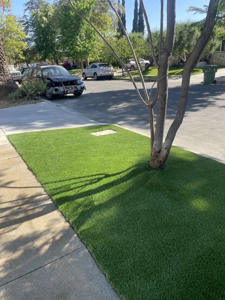 Custom yard maintenance experts serving Beverly Hills, CA - TurfCity