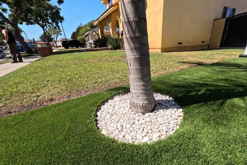 Professional landscape design in Beverly Hills, CA - TurfCity