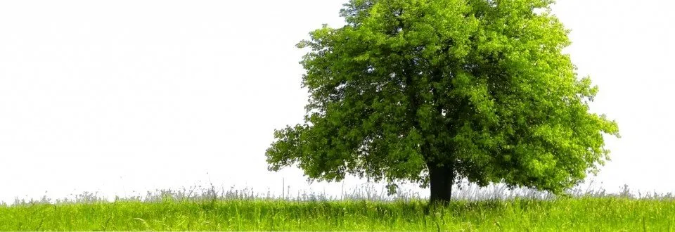 Reliable residential landscaping experts serving Idaho Falls, ID - Turfco Lawn and Pest