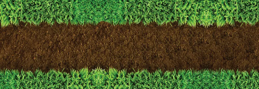 Affordable lawn mowing service for residential properties across Idaho Falls, ID - Turfco Lawn and Pest