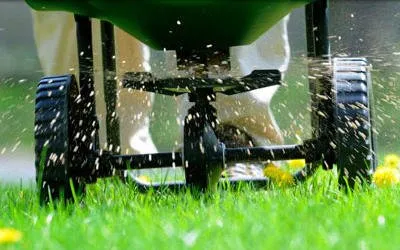 Trusted yard cleanup service for residential properties across Idaho Falls, ID - Turfco Lawn and Pest