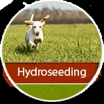 Local yard cleanup service for outdoor upgrades in Idaho Falls, ID by Turfco Lawn and Pest