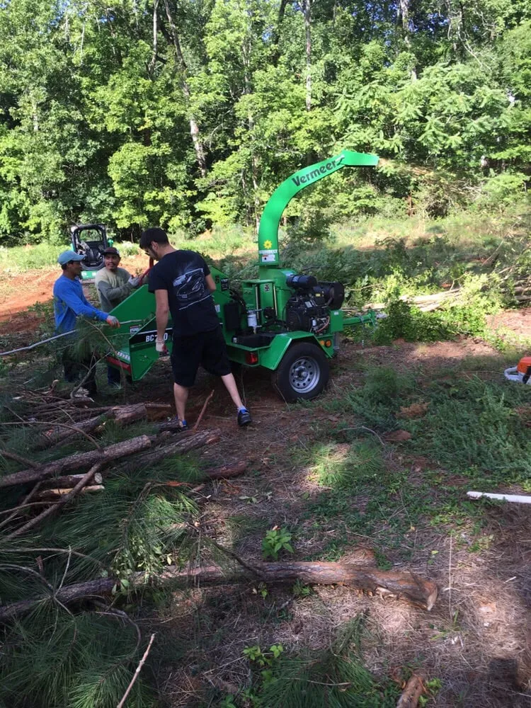 Local yard maintenance in Loganville, GA - TurfCreek